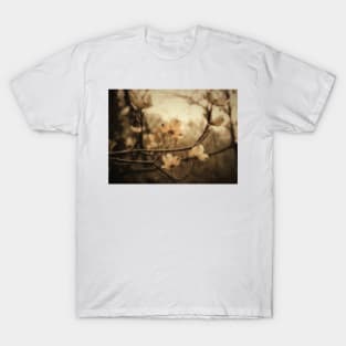 Graceful Dogwood Blossoms T-Shirt